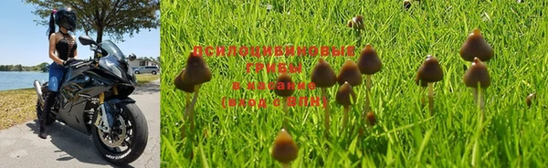 spice Березники