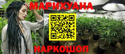 молекула духа Новодвинск