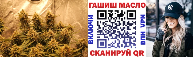 ТГК THC oil  Купить где  Буйнакск 