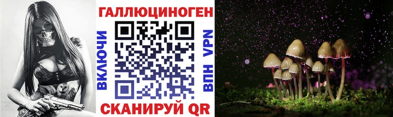 Купить  Буйнакск  Галлюциногенные грибы GOLDEN TEACHER 