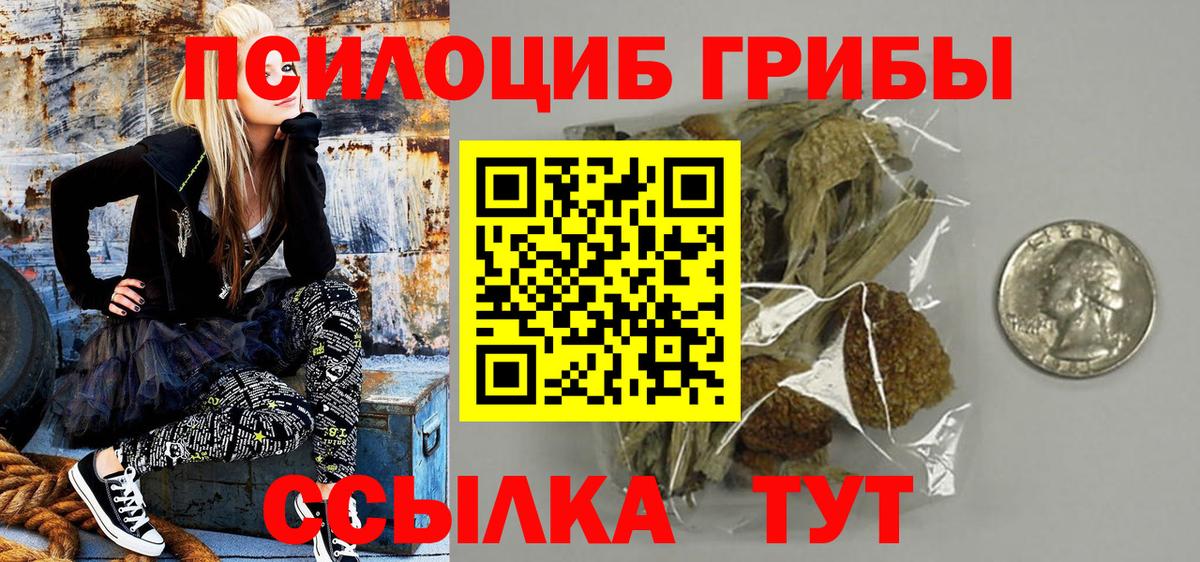 Буйнакск  Галлюциногенные грибы Magic Shrooms  закладка  Псилоцибиновые грибы ЛСД  Вход с VPN 