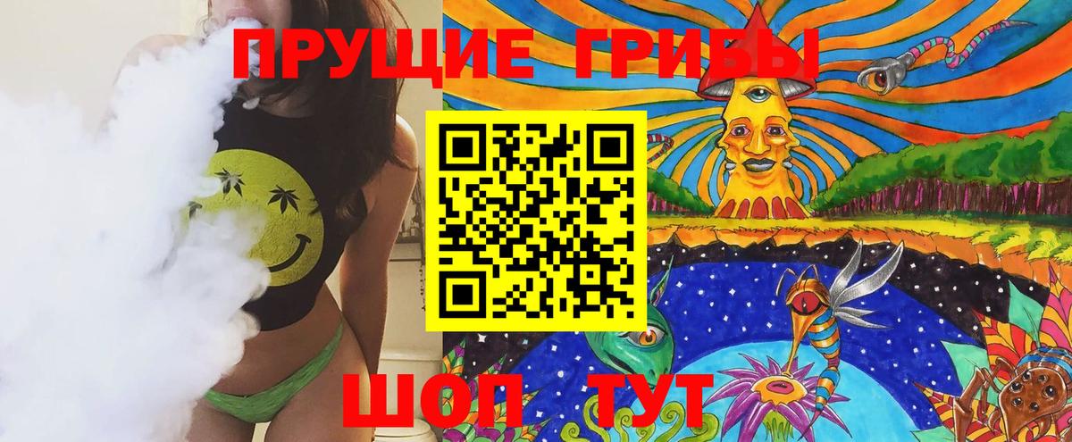 Галлюциногенные грибы Cubensis  купить закладку  Буйнакск 