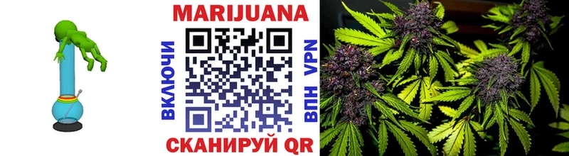 Шишки марихуана White Widow  Купить закладки  Буйнакск 